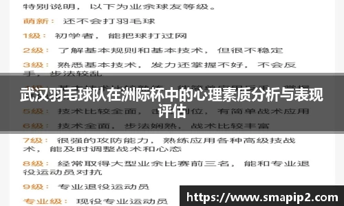 武汉羽毛球队在洲际杯中的心理素质分析与表现评估