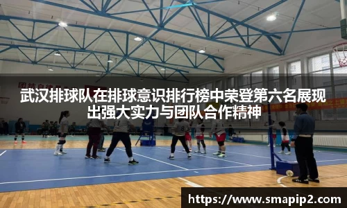 武汉排球队在排球意识排行榜中荣登第六名展现出强大实力与团队合作精神