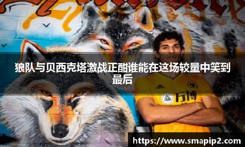 伟德bv国际体育